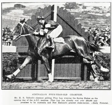 Image: Australia's fourth-year-old champion