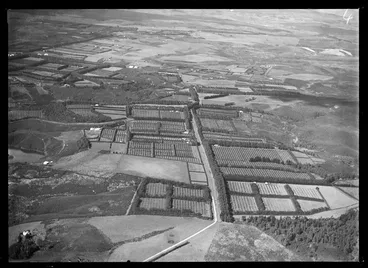 Image: Agricultural area, Kerikeri, Bay of Islands