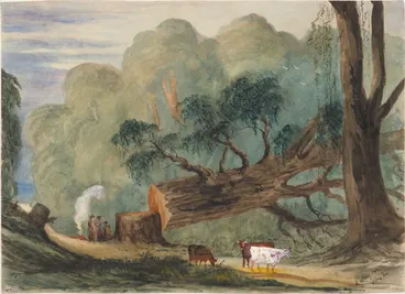 Image: Wellington. On the Karori Road. A specimen of the red pine about 6 or 7 feet diameter such as is frequently met with in clearing land.