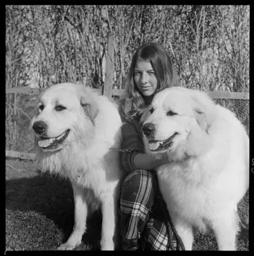 Image: Miss Watson and dogs