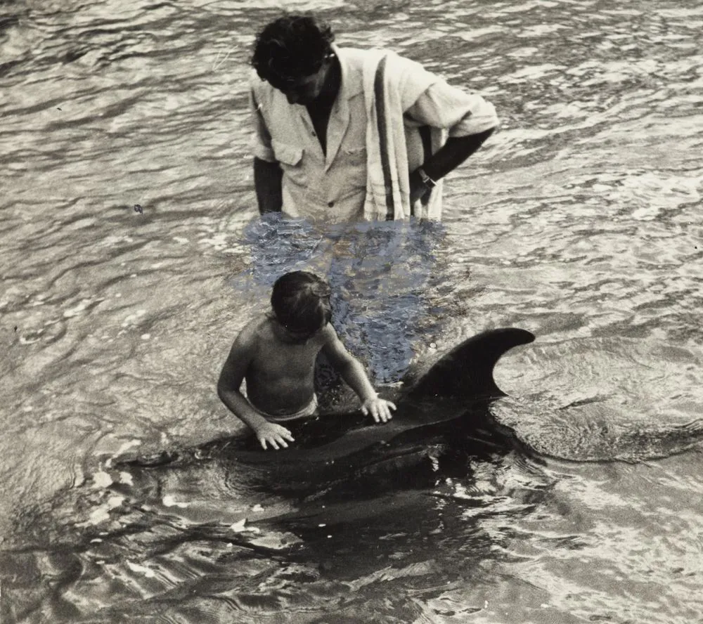 Opo the dolphin, Opononi