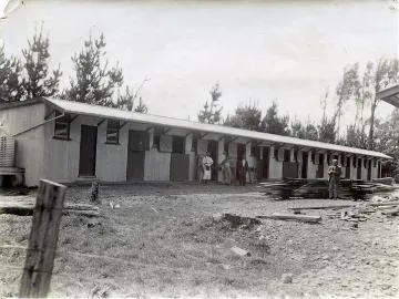 Wairarapa Racing Club: stables at Tauherenikau