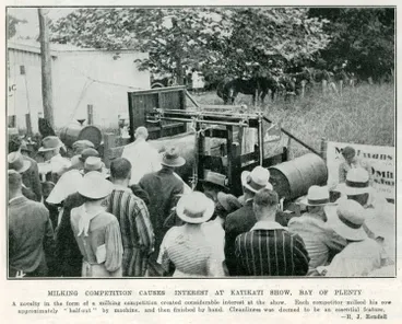 Image: Milking competition causes interest at Katikati show, Bay of Plenty