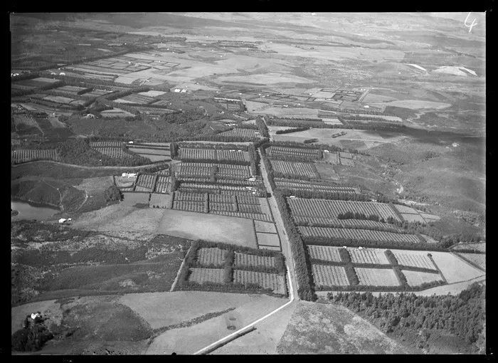 Agricultural area, Kerikeri, Bay of Islands