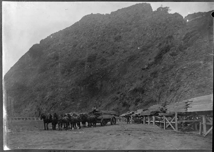 Carting timber on the beach between Karekare and Whatipu.