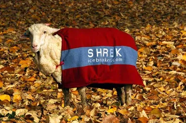 Image: Shrek marketing Icebreaker