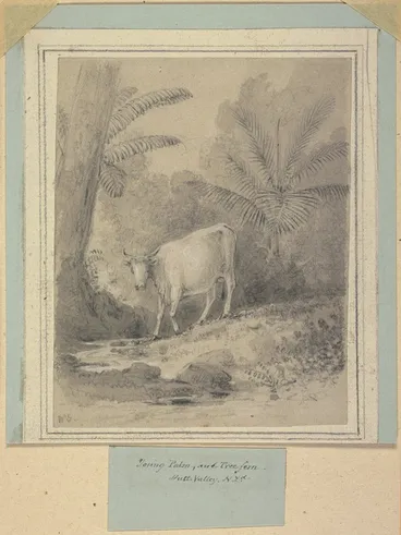 Image: Swainson, William, 1789-1855 :Young palm and tree fern, Hutt Valley NZd. [ca 1849]
