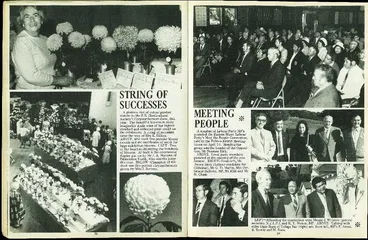 Image: String Of Successes