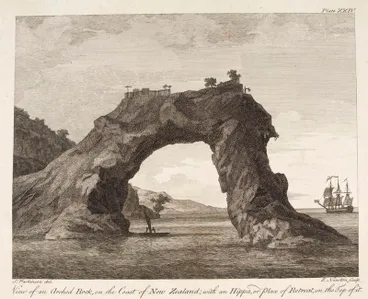 Sydney Parkinson, botanical draughtsman Image: Sydney Parkinson, botanical draughtsman