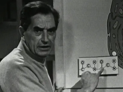 In the Nature of Things