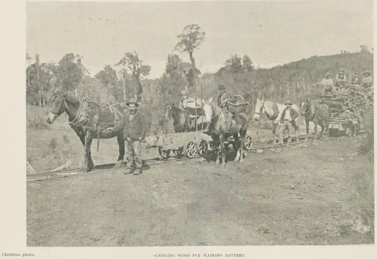 Sledging wood for Waikino Battery