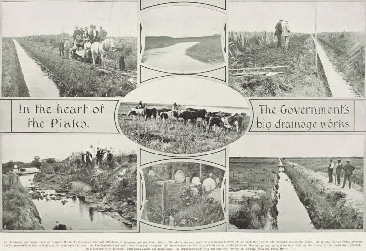 In the heart of the Piako: the Government's big drainage works