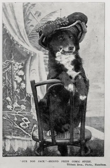 Image: 'Our dog Jack', second prize comic study