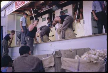 Image: Sheep shearing competition, Pukekohe, 1960