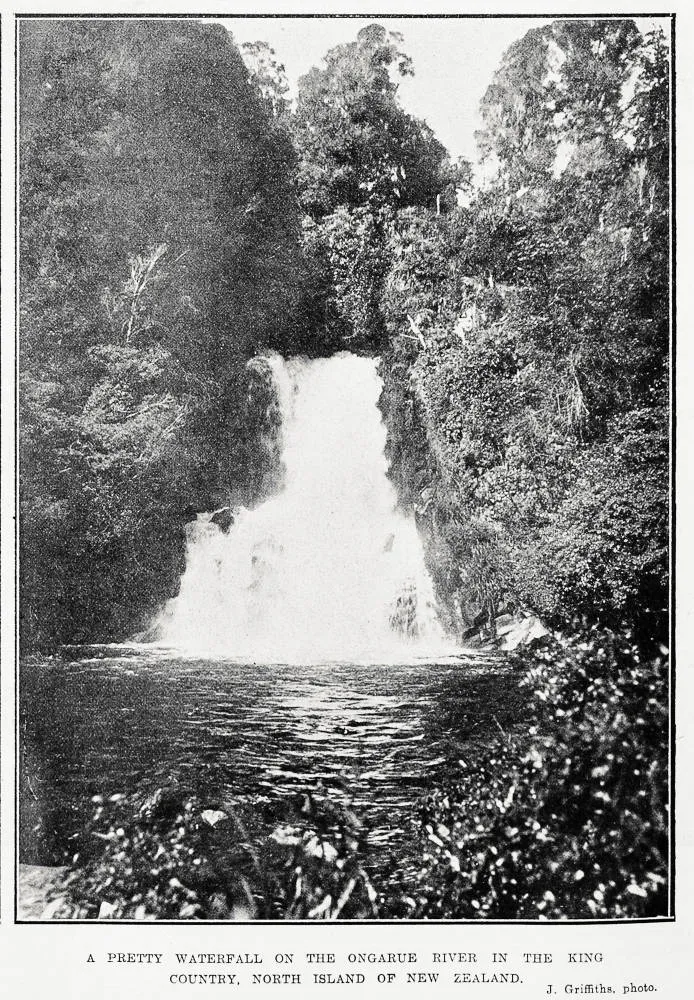 A pretty waterfall on the Ongarue River in the King Country, North Island of New Zealand