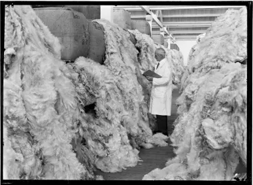 Image: Grading bales of wool