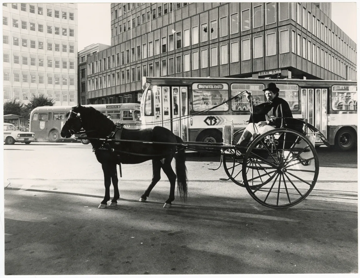 Horse drawn cart and driver