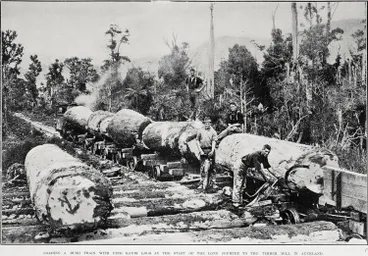 Image: Loading A Bush Train With Fine Kauri Logs at the Start of the Long Journey to the Timber Mill In Auckland