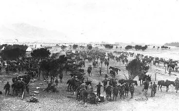 Image: Horse lines at [Tauherenikau Camp] : digital image