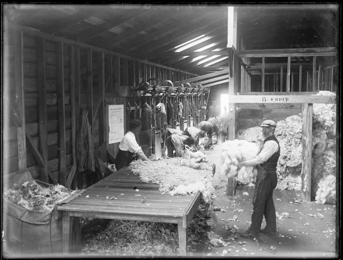 Inside a shearing shed