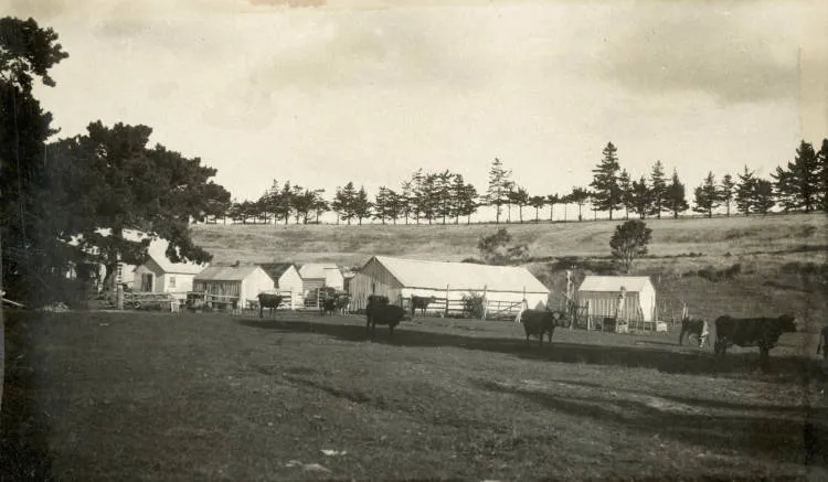 The Brown homestead at Browns Bay, North Shore.
