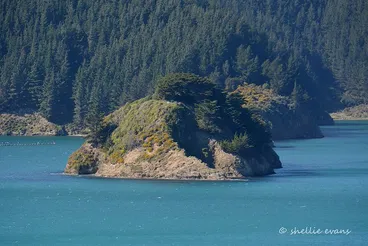 Image: Horahora Kakahu Island- Treaty of Waitangi Signing