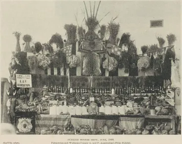 Image: Dunedin Winter Show, June 1899, Palmerston and Waihemo County A. and P. Association's prize exhibit