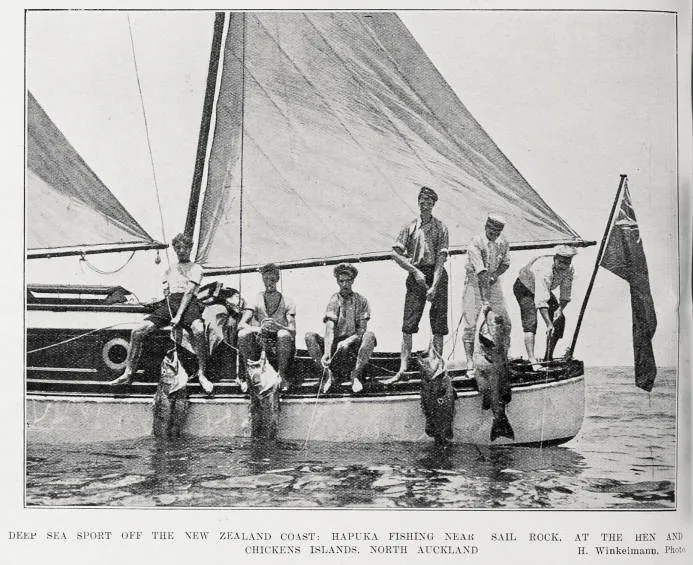 Deep Sea Sport Off The New Zealand Coast