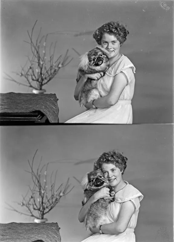 Clarke, Woman & Dog