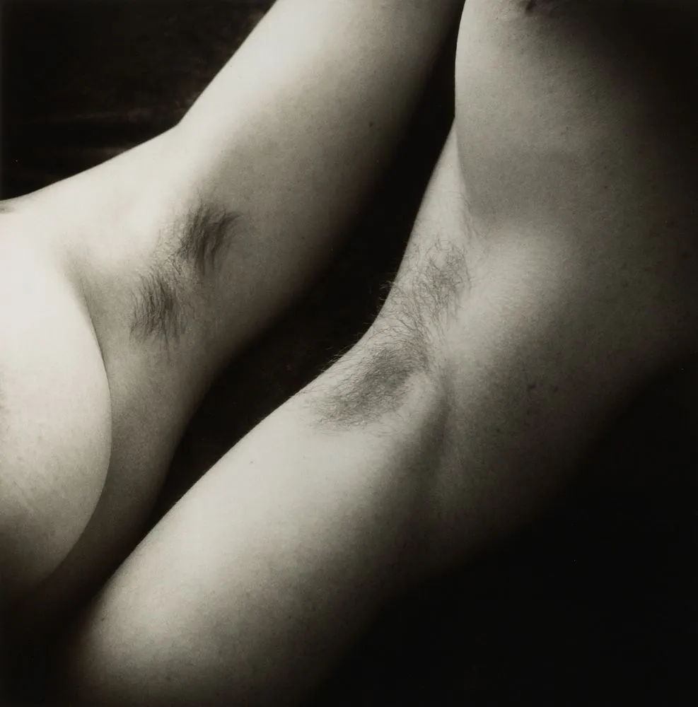 Night Hawk. No. 9. Untitled