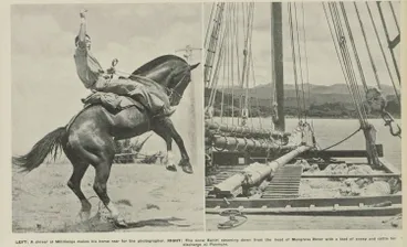 Image: Drovers, scows and stock at Whitianga