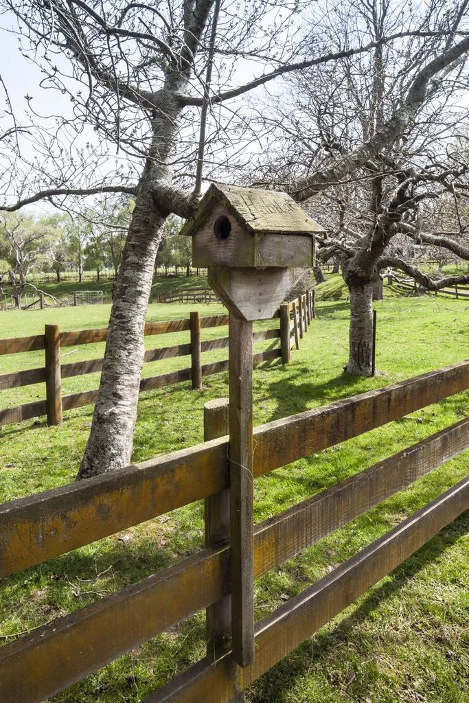 Taylor Bird House, 39 Old Kips Road, Ashhurst