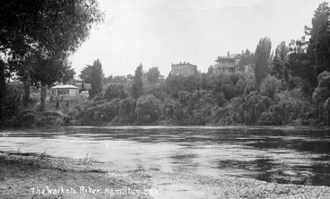 Image: East Bank of Waikato River