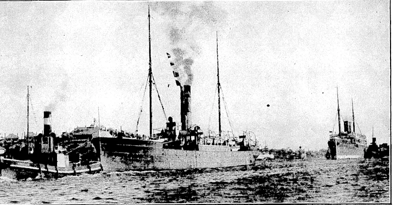 STARTING THE FINAL VOYAGE.—The veteran steamer Oonali, ■with the Maheno in tow. leaving Sydney Harbour on July 3, en route for Japan, tuhere both vessels were to be broken, up. A gale off the Queensland coast caused the tow-line to break and the Maheno was wrecked on Fraser Island. She is now reported to be breaking up. * (Evening Post, 16 July 1935)
