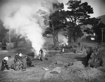 Image: Men clearing pines from from Fitzherbert Terrace, Thorndon, Wellington