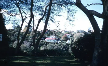 Image: Slide - Hayes Padock across the Waikato River