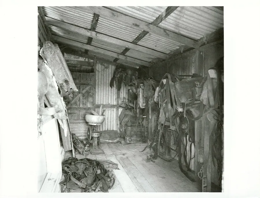 Agriculture - Sheep stations