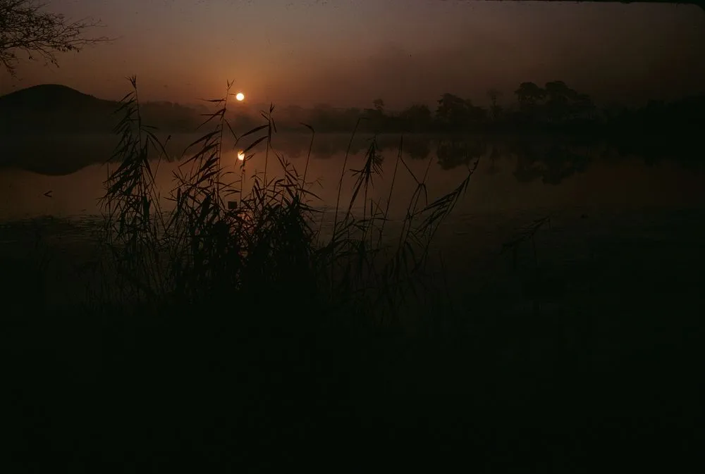 Japan series: Hirosawaike pond