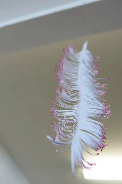 Parihaka feather