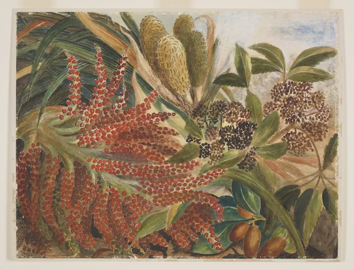 Harris, Emily Cumming, 1837-1925: [Kiekie (freycinetia banksii), nikau (rhopalostylis sapida), five finger (pseudopanax arboreum) and karaka (corynocarpus laevigata) in fruit]. 1879.