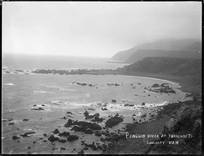 Debris from the wreck of the 'SS Penguin' at Cape Terawhiti, Wellington