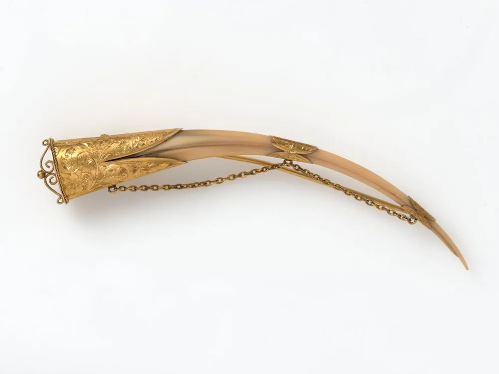 Huia beak brooch