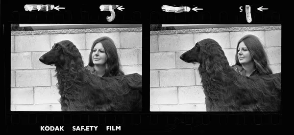 Lois Cleary and Afghan Hound