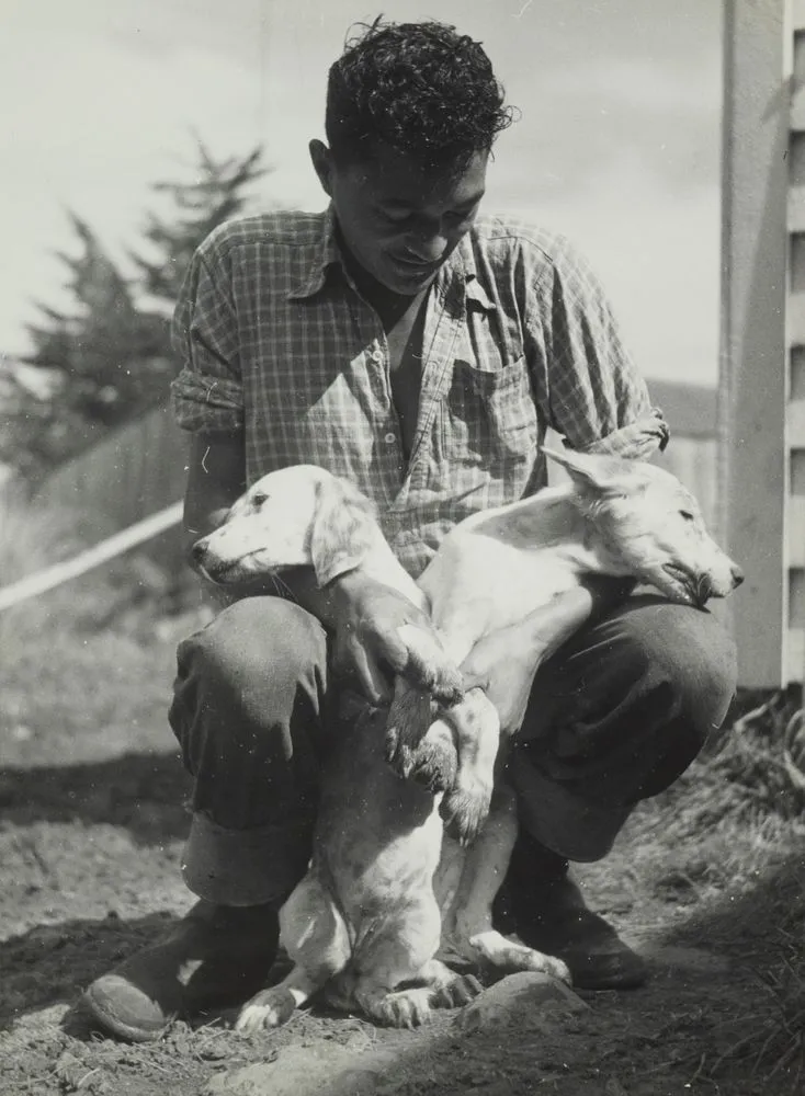 Boy Wikaira and his dogs, Waimamaku