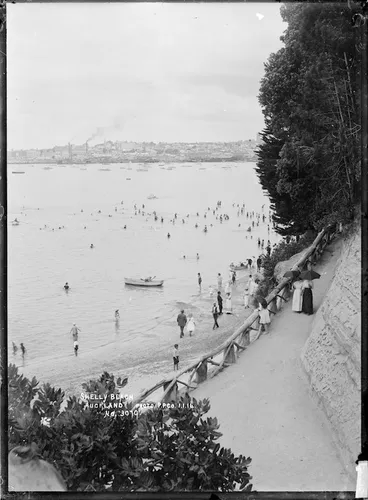 Image: Shelly Beach from Point Erin Park, Auckland