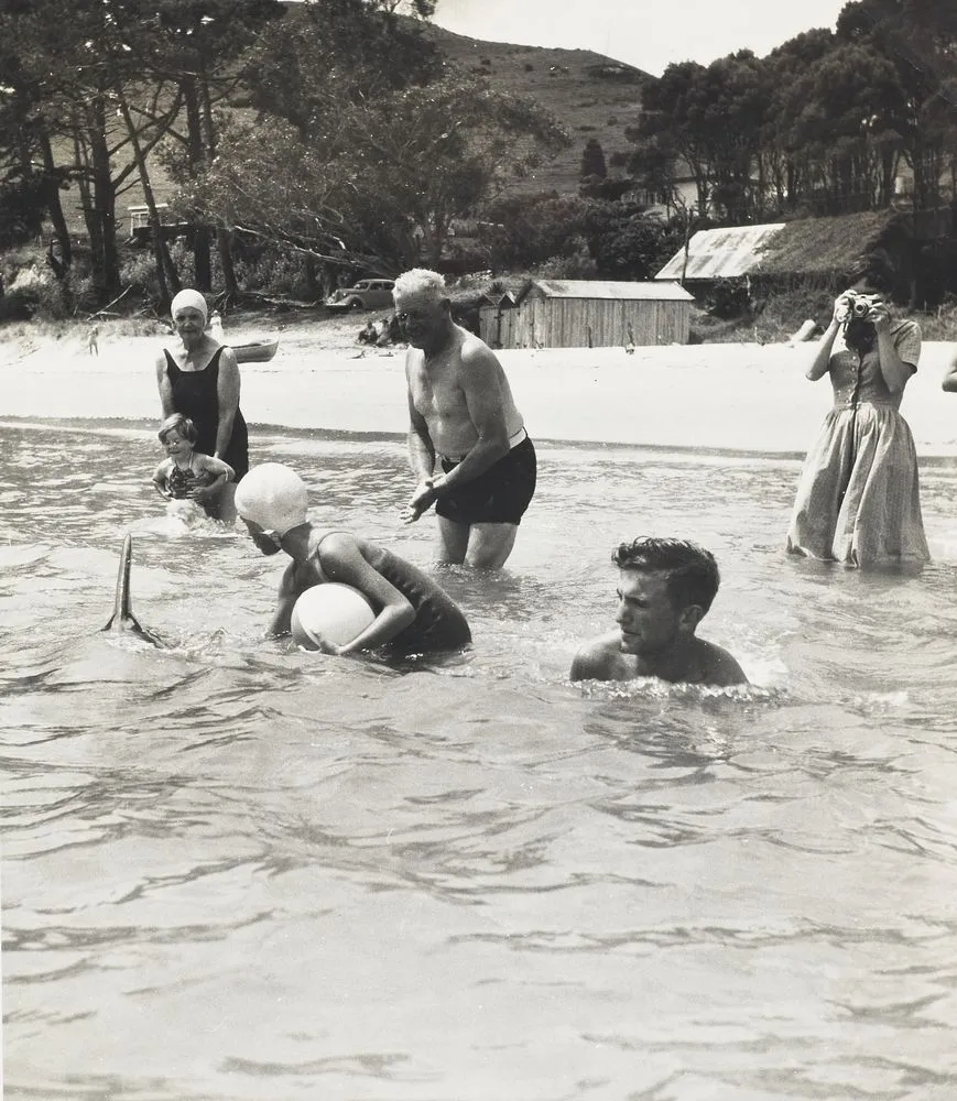 Opo the dolphin, Opononi