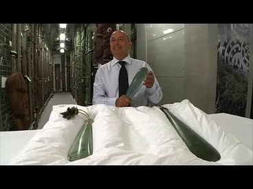 More than Mere - Tales from Te Papa episode 117 Image: More than Mere - Tales from Te Papa episode 117