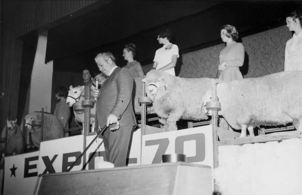 Heretaunga College hall; Godfrey Bowen, trained sheep, models.