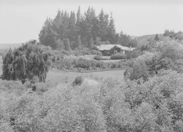 Tutira Image: Tutira