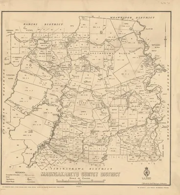Image: Maungakaretu Survey District [electronic resource].